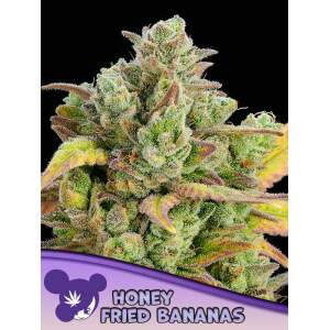 Anesia Seeds Honey Fried Bananas