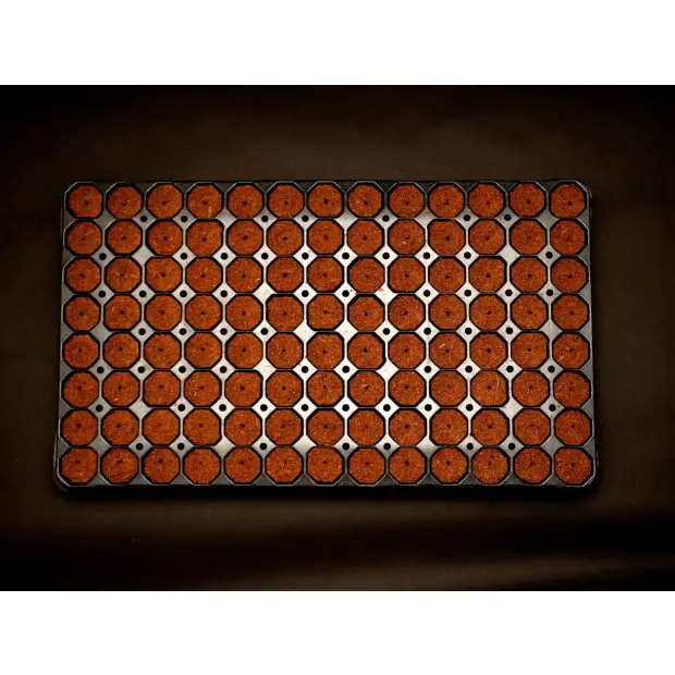 Quick Plug 104 Tray 7 Stk