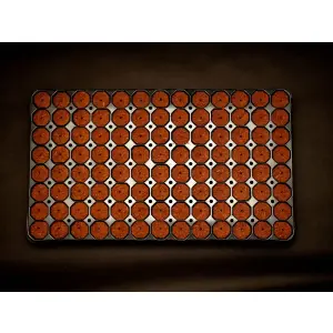 Quick Plug 104 Tray 7 Stk