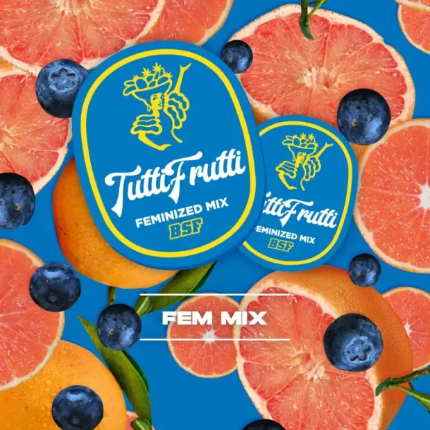 BSF Seeds Tutti Frutti Feminized Mix