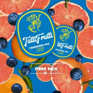 BSF Seeds Tutti Frutti Feminized Mix