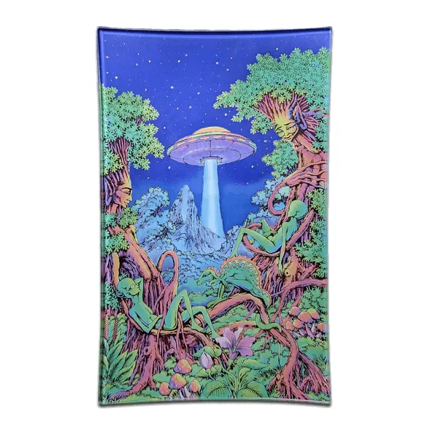 Rolling Tray aus bruchsicherem Glas 25,5x15,5cm