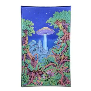 Rolling Tray aus bruchsicherem Glas 25,5x15,5cm