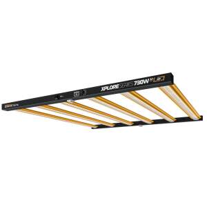 Dimlux Xplore 730W 3.0