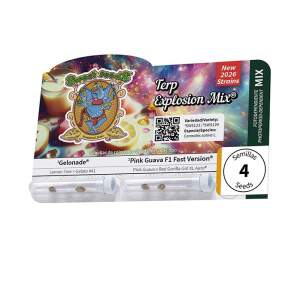 Sweet Seeds Terp Explosion Mix 4 Stk feminisiert