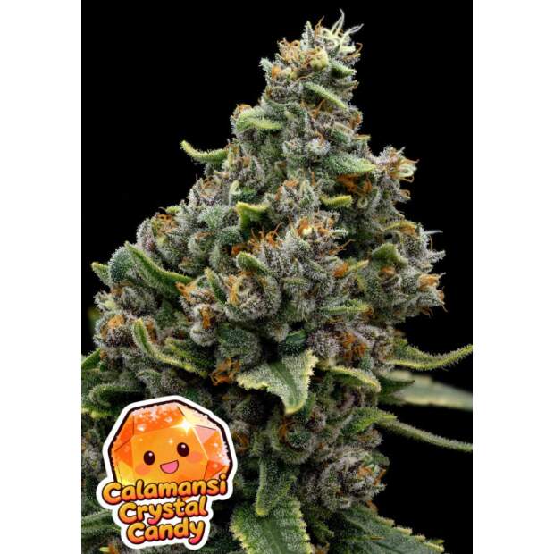 Anesia Seeds Calamansi Crystal Candy