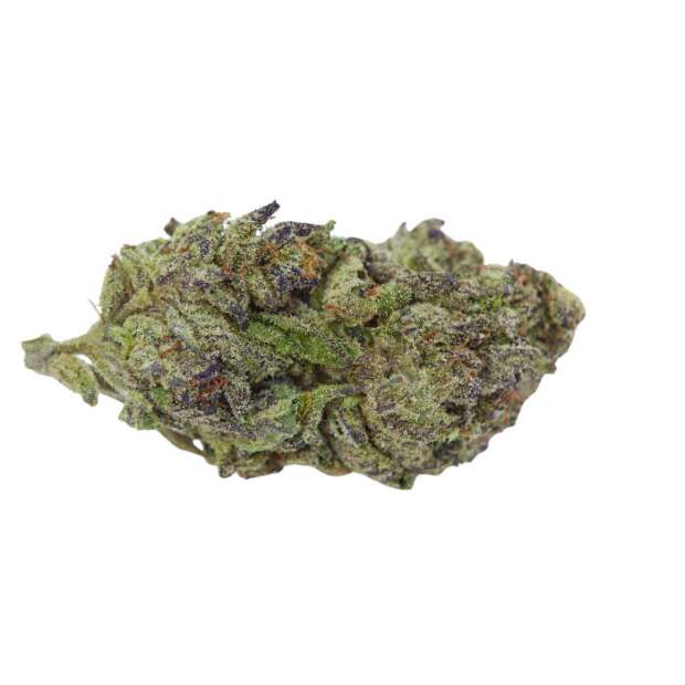 Growers Choice Blue Zeclair