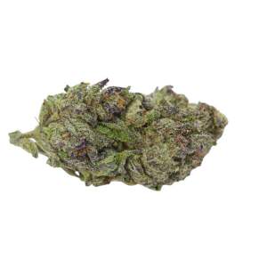 Growers Choice Blue Zeclair