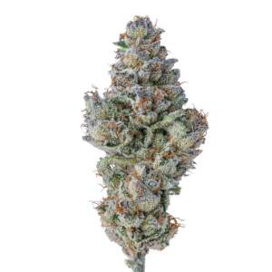 Growers Choice Lobster Butter