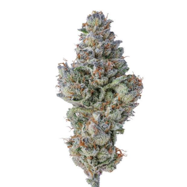 Growers Choice Lobster Butter Auto