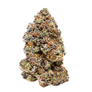 Growers Choice Milkshake Nerdz