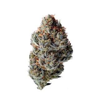 Growers Choice Toad Poison Auto (Toad Venum Auto)