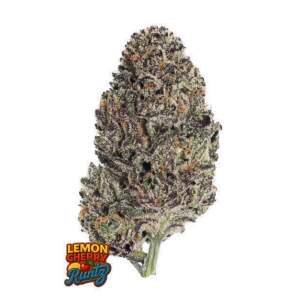 420 Fast Buds Lemon Cherry Runtz