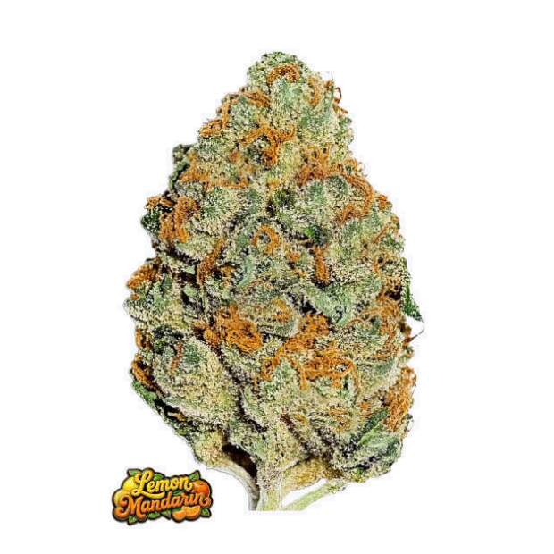 420 Fast Buds Lemon Mandarin