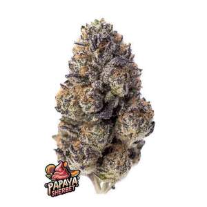 420 Fast Buds Papaya Sherbet