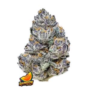 420 Fast Buds Rainbow Melon