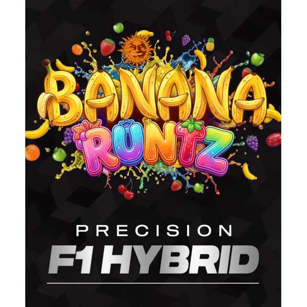 Barneys Farm Banana Runtz 5 Stk feminisiert