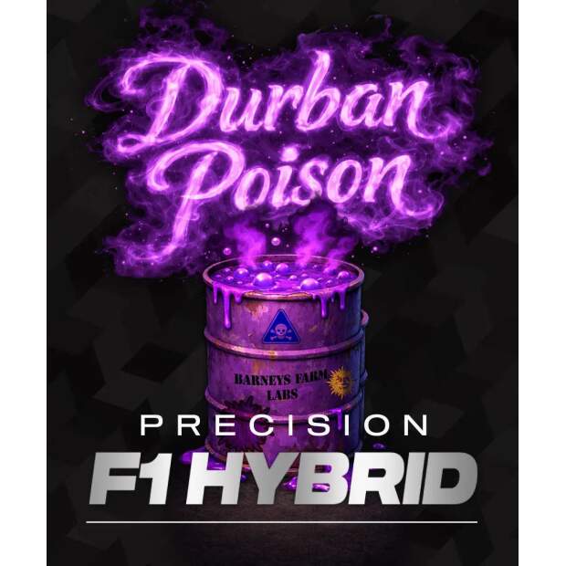 Barneys Farm Durban Poison