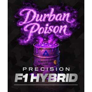 Barneys Farm Durban Poison