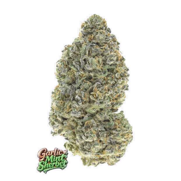 420 Fast Buds Garlic Mint Sherbet