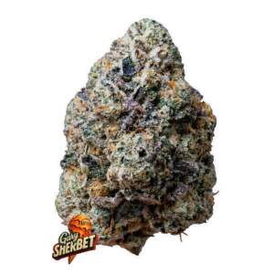 420 Fast Buds Gary Sherbet