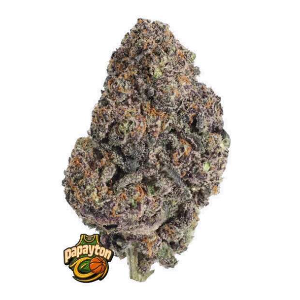 420 Fast Buds Papayton