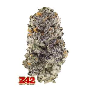 420 Fast Buds Z42