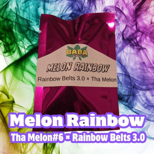 Baba Genetics Melon Rainbow