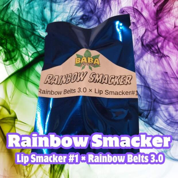 Baba Genetics Rainbow Smacker