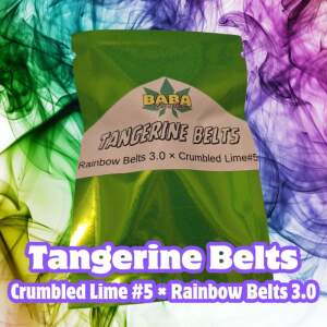 Baba Genetics Tangerine Belts