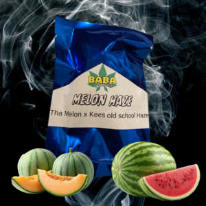 Baba Genetics Melon Haze