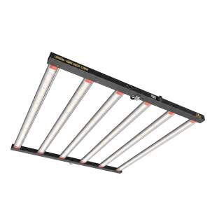 Lumen King 720W LED Gold Line