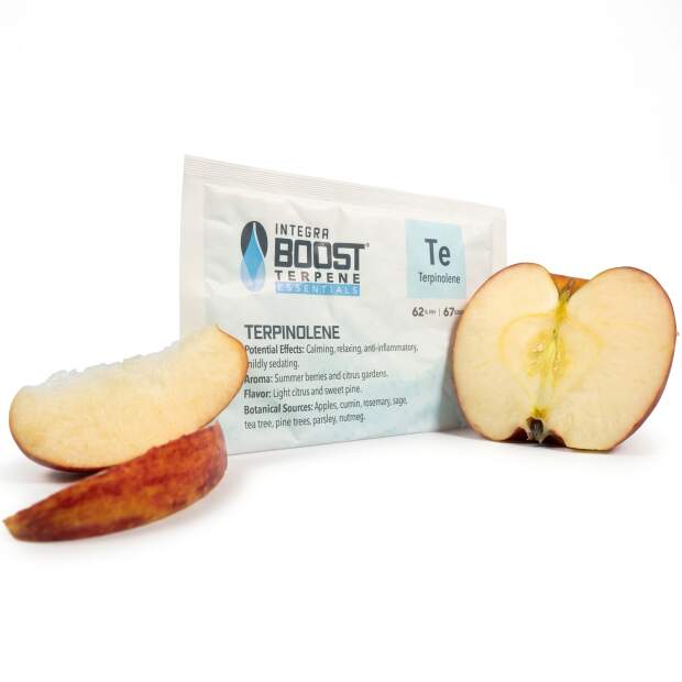 Integra Boost Terpene Essentials 62%R.H- 67Grams