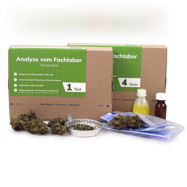 Analyse Hanftest-Box 1 Test