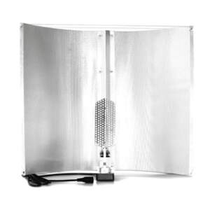 PlantaTech Monkey Wing Medium