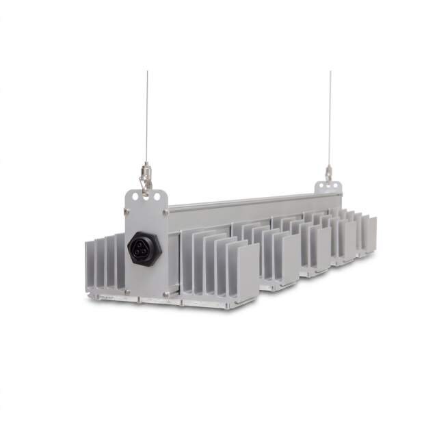 SANlight LED- Leuchte Q5W S2.1 Gen2