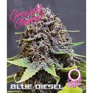 Growers Choice Blue Diesel Auto