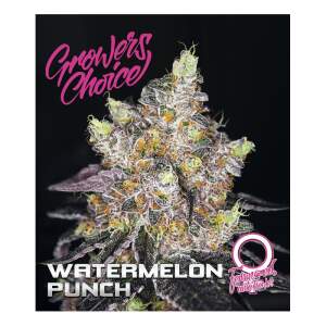 Growers Choice Watermelon Punch Auto