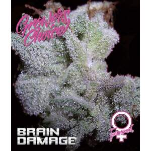Growers Choice Braindamage Auto