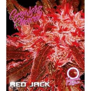 Growers Choice Red Jack Auto