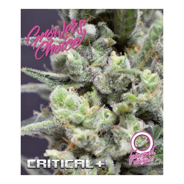 Growers Choice Critical+ Auto