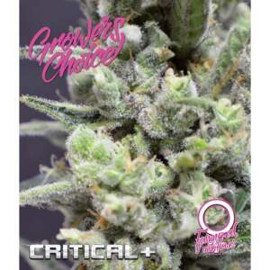 Growers Choice Critical+ Auto