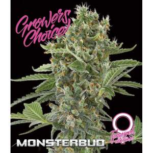 Growers Choice Monsterbud Auto