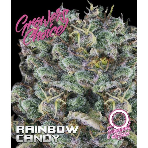 Growers Choice Rainbow Candy Auto 3 pcs feminised