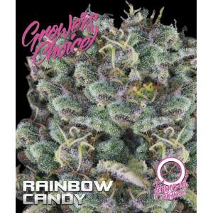 Growers Choice Rainbow Candy Auto 3 pcs feminised