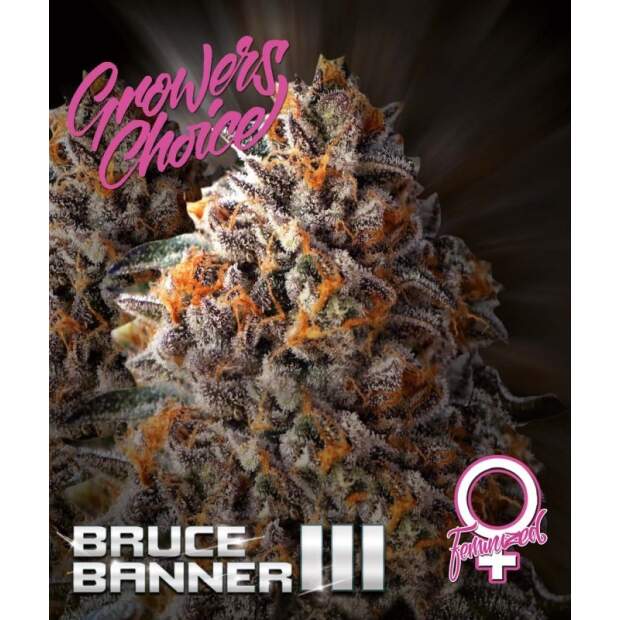 Growers Choice Bruce Banner III