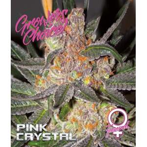 Growers Choice Pink Crystal