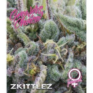 Growers Choice Zkittlez 5 pcs feminised