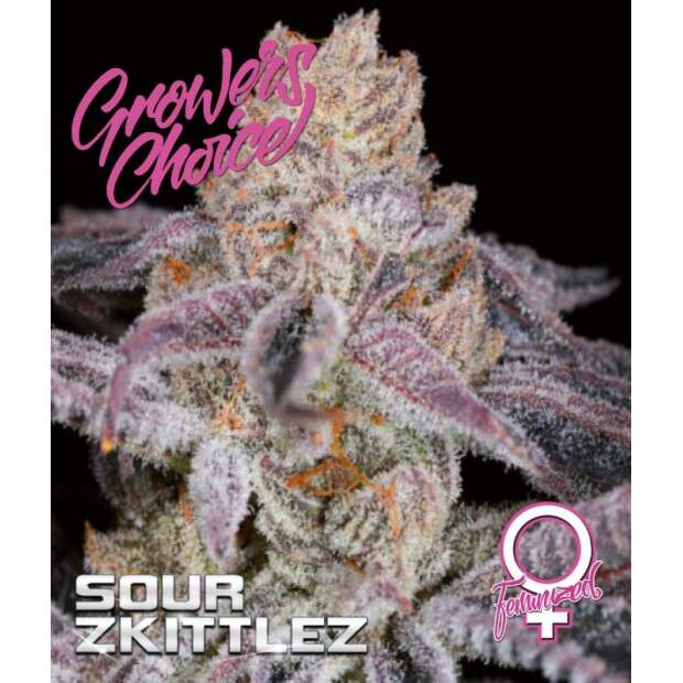 Growers Choice Sour Zkittlez 5 Stk feminisiert