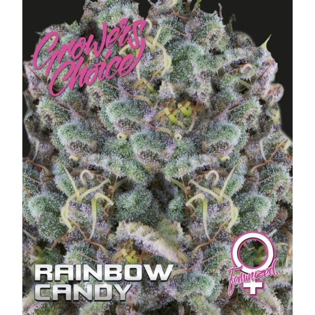 Growers Choice Rainbow Candy 3 pcs feminised